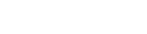 Dronex Show